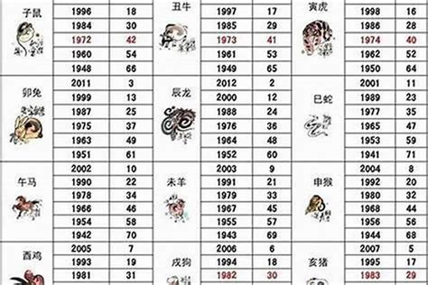 1956年生肖|1956年属什么生肖？